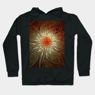 Vibrance Hoodie